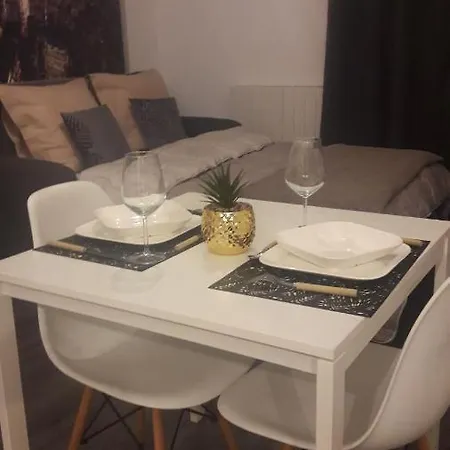 Studio Rayane Vue Manifique Sur Bordeaux