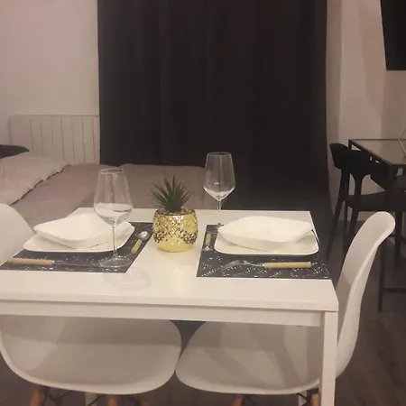 Studio Rayane Vue Manifique Sur Bordeaux